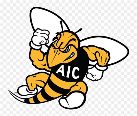 el pasatiempo— the yellow fantasy|American International Yellow Jackets 2013 College .